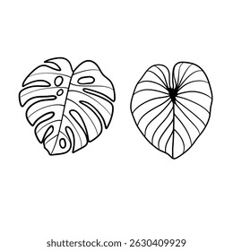 Hand drawn set plant leaf nature illustration
