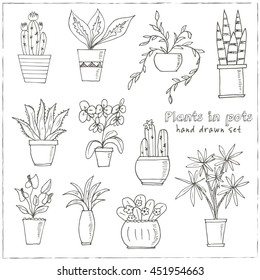 Hand drawn Set of Plants in the pots. Isolated vector illustration for identity, design, decoration, packages product and interior decoration