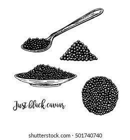 Hand drawn set of plate with black caviar. Retro sketches isolated. Vintage hypster collection. Doodle line graphic design. Black and white drawing black caviar and spoon. Vector illustration.