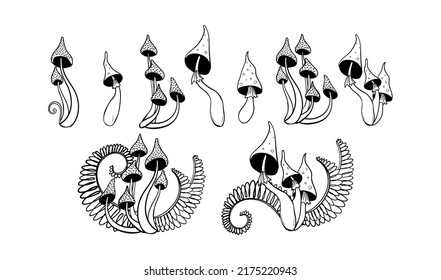 Hand Drawn Set Of Poisonous Mushrooms, Toadstools. Mystical Boho Witch Tattoo With Fern Leaves, Dark Magic And Witchcraft Design. Vector Sketch Isolated On White Background.