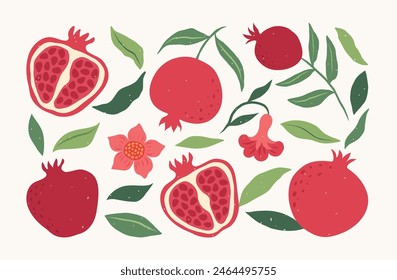 Conjunto dibujado a mano de granada con hojas, ramas y flores. Ilustración abstracta moderna Antiguas. Patrón de fruta. Diseño de Vector para patrón, póster, tarjeta, tela, Anuncio, cubierta.