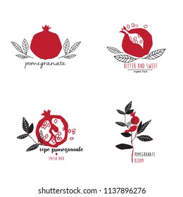 Hand Drawn Set Of Pomegranate Logo Templates