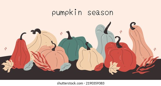 Hand drawn set of pumpkins of different bright and shaped colors with leaves on a patch