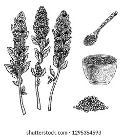 Hand Drawn Set Of Quinoa Plant Porridge In Bowl, Spoon And Seeds. Retro Isolated Sketches. Vintage Figure. Linear Graphic Design. Black And White Image. Vector Illustration.