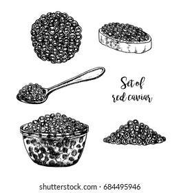 Hand drawn set of red caviar. Retro sketches isolated. Vintage hypster collection. Doodle line graphic design. Black and white drawing tin spoon plate sandwich. Vector illustration.