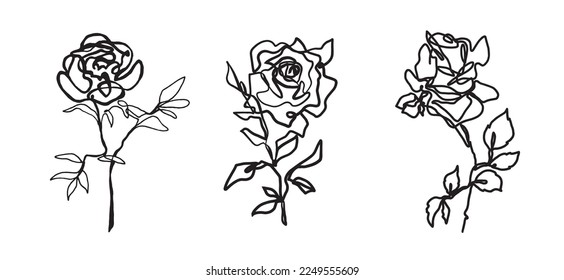 hand drawn set of roses illustration. freehand botanical drawing. abstract flowers continuous line drawing. flower illustration. pen drawing.