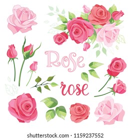 Hand drawn set of roses, rose buds and leaves on white background