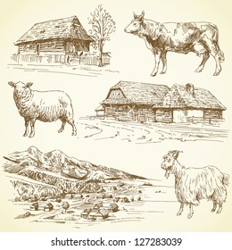 Hand Drawn Set - Rural Landscape, Village, Farm Animals