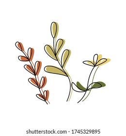 Hand drawn set of rustic and floral design elements. Silhouettes of plants, flowers, herbs, leaves. Flat and outline. Vector stock illustration.