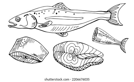 Hand drawn set with salmon fish. Whole and slices ocean animal.