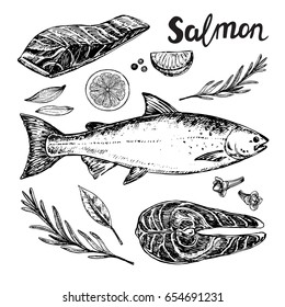 Hand drawn set salmon and spice