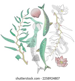 Hand drawn set of sea world design element. There are sea weeds, fish, shell, lotus, and stone. Can be used for a different design purposes