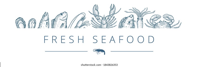 Hand drawn set of seafood, fresh salmon, lobster, prawn, squid and crab. Vector