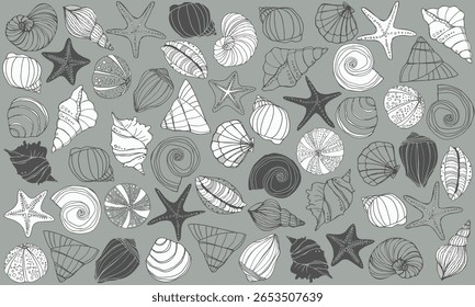 Hand drawn set of seashells and starfish in vintage engraving style pattern background. Diverse Seashells Collection Hand Drawn Line Art Ocean Beach Starfish Nature Illustration