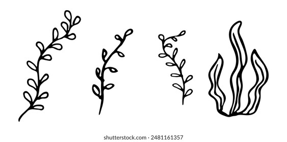 Hand drawn set of seaweed icons in Scandinavian style. Underwater ocean flora. Abstract organic shape of underwater plant. Vector illustration isolated on a white background. Undersea world.