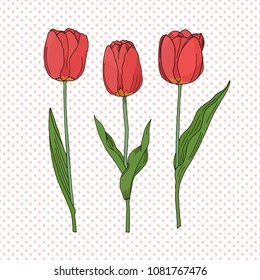 Hand drawn set of side view red tulip flower, sketch style vector illustration isolated on dotted background. Hand drawing of tulip flowers, decoration element, vector. 