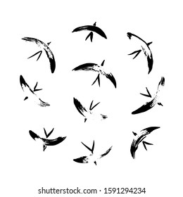 Hand drawn set with simple stylized flying wild birds. Vector animal illustration, graphic silhouettes painted by ink.