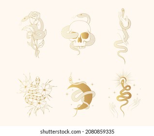 Hand drawn set of six golden snake prints. Gold celestial floral serpents collection for  t-shirt design, fabric, cards and covers.