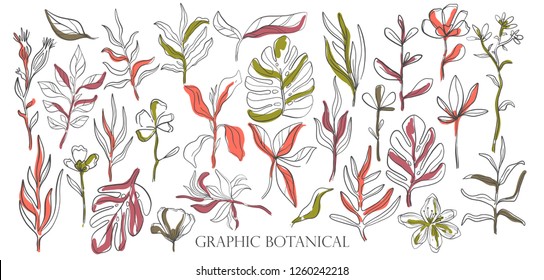 Hand drawn set sketch style Wild flowers . Line nature style,Drawing flora,hand drawn botany. Vector illustration.