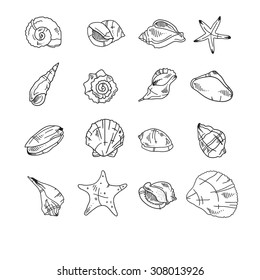 Hand drawn set. Sketches sea shells and ammonites. Vector illustrations