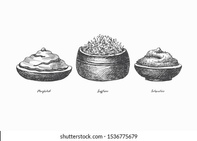 Hand drawn set of spices for cooking. Spicy spices: turmeric, mustard, saffron on a light isolated background. Organic food concept. Vector illustration.
