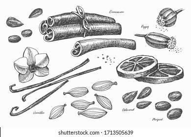 Hand drawn set of spices for cooking. Spicy spices: vanilla, poppy, cinnamon, cardamom, muscat and dried lemon on a light isolated background. Organic food concept. Vector illustration.