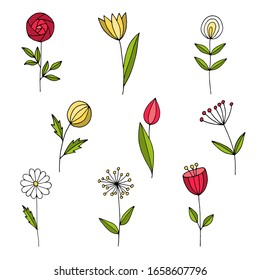 Handgezeichnete Frühlings- und Sommerblumen. Vektorillustration. 