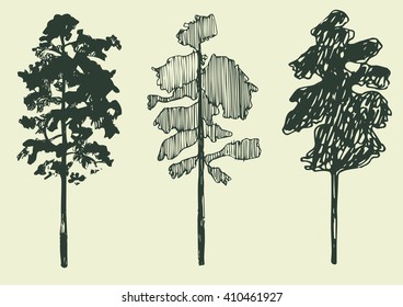 hand drawn set of spruce trees