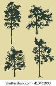 hand drawn set of spruce trees