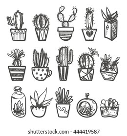 Hand drawn Set of Succulent and Cactus in the pots. Isolated vector illustration for identity, design, decoration, packages product and interior decoration