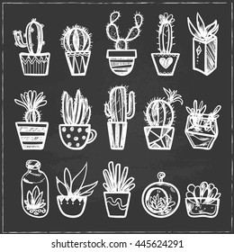 Hand drawn Set of Succulent and Cactus in the pots. Isolated vector illustration for identity, design, decoration, packages product and interior decoration