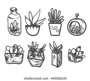 Hand drawn Set of Succulent in the pots. Isolated vector illustration for identity, design, decoration, packages product and interior decoration