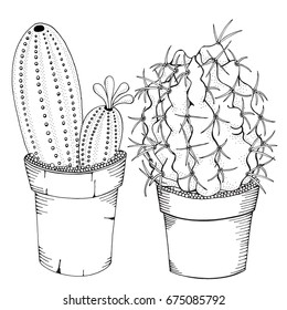 Hand drawn set of succulents or cacti in pots.  Doodles elements. Black and white. Coloring book page for adult. Summer, succulent, doodles, vector, art design elements. Linear botanical vector.