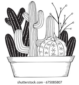 Hand drawn set of succulents or cacti in pots.  Doodles elements. Black and white. Coloring book page for adult. Summer, succulent, doodles, vector, art design elements. Linear botanical vector.