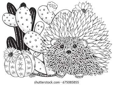 Hand drawn set of succulents or cacti in pots and prickly hedgehog. Black and white. Coloring book page for adult. Summer, succulent, doodles art design elements. Linear botanical vector.