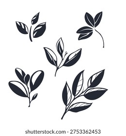Hand drawn set of tea leaves and plant branches. Minimalist black ink floral elements, organic leaf silhouettes, botanical vector sketches for eco logo, organic packaging and natural branding design.