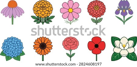 Hand drawn set of ten different garden flowers including daisies and iris with botanical illustration blooming marigold hydrangea colorful isolated collection ornamental decorative botanist