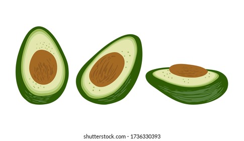 Hand drawn set of three avocado isolated on a white background. Illustration in a simple flat style. It can be used for decoration of textile, paper and other surfaces.