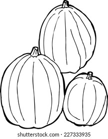 Hand drawn set of three outlined pumpkins over white