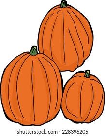 Hand drawn set of three ripe pumpkins over white