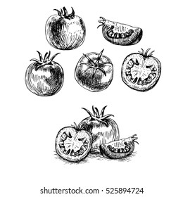 Conjunto de tomate desenhado à mão. Esboços retrô isolados. Coleção vintage. Design gráfico linear. Imagem em preto e branco de vegetais. Ilustração vetorial.