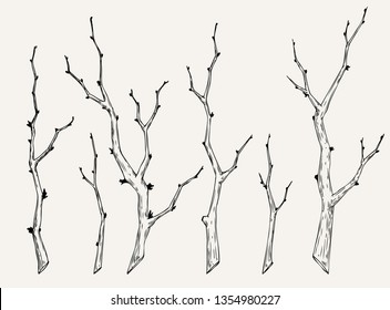 Hand drawn set of tree branch in vintage style. Black and white collection of sakura branch graphic element for cards, invitation, prints, posters, tattoo, clothes, t-shirt, patches, stickers.
