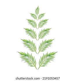 Hand drawn set of tree branches with leaves, flowers, field grass, decorative dividers, design elements