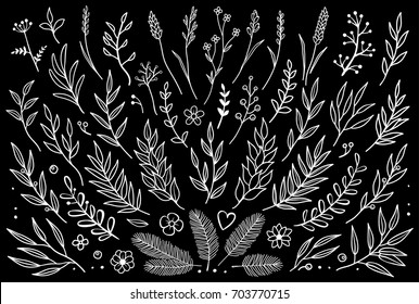 Hand drawn set of tree branches with leaves, flowers, field grass, decorative dividers, design elements in chalkboard style