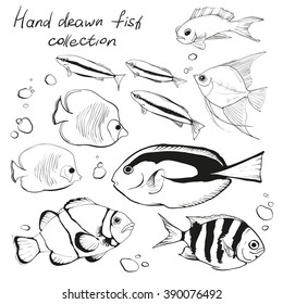 Hand drawn set of tropical fishes, vector illustration