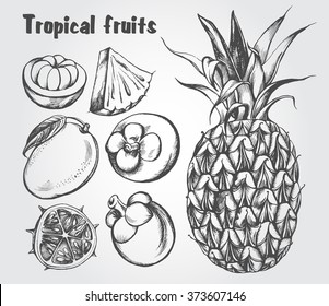 Hand drawn set of tropical fruits - mango, mangosteen, kiwano, pineapple. Vector isolated illustration.