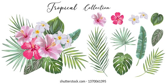 hand drawn Set of tropical leaves and flowers. vector design concept