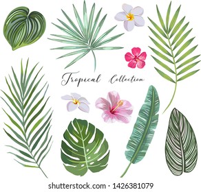 hand drawn Set of tropical leaves and flowers. vector design concept