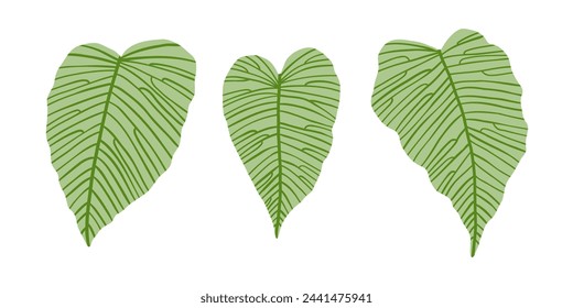 Hand drawn set with tropical leaves. Jungle, rain forest, wildlife. Vector illustration in flat style.