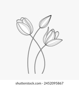  Conjunto dibujado a mano de ramas de tulipanes. Flor de tulipán aislado sobre fondo blanco. Ilustración vectorial.